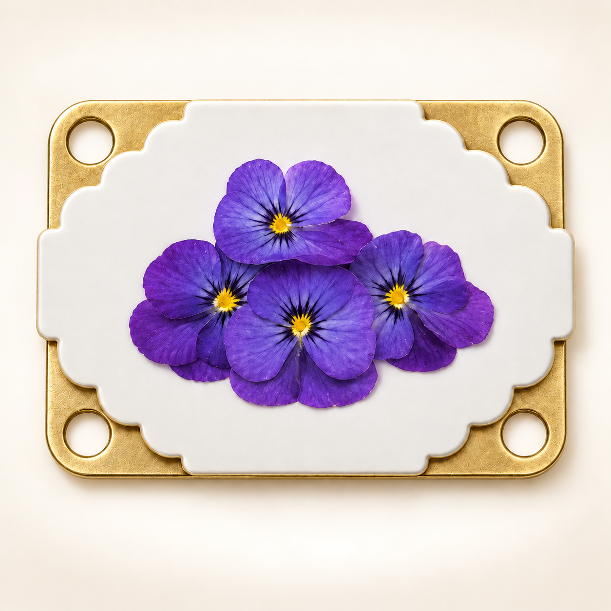 Place a flower onto the pressing sheets